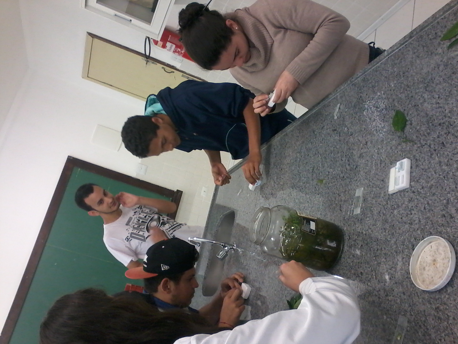 Preparo_de_l_mina_de_elodea__17_